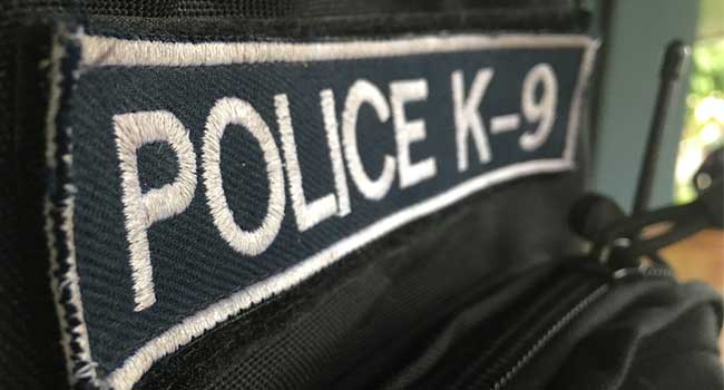 Medical Center Adds K-9 Security Guards