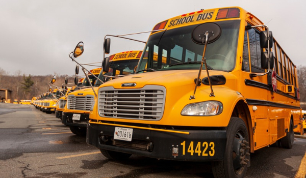 Rows of yellow school buses parked in a lot.