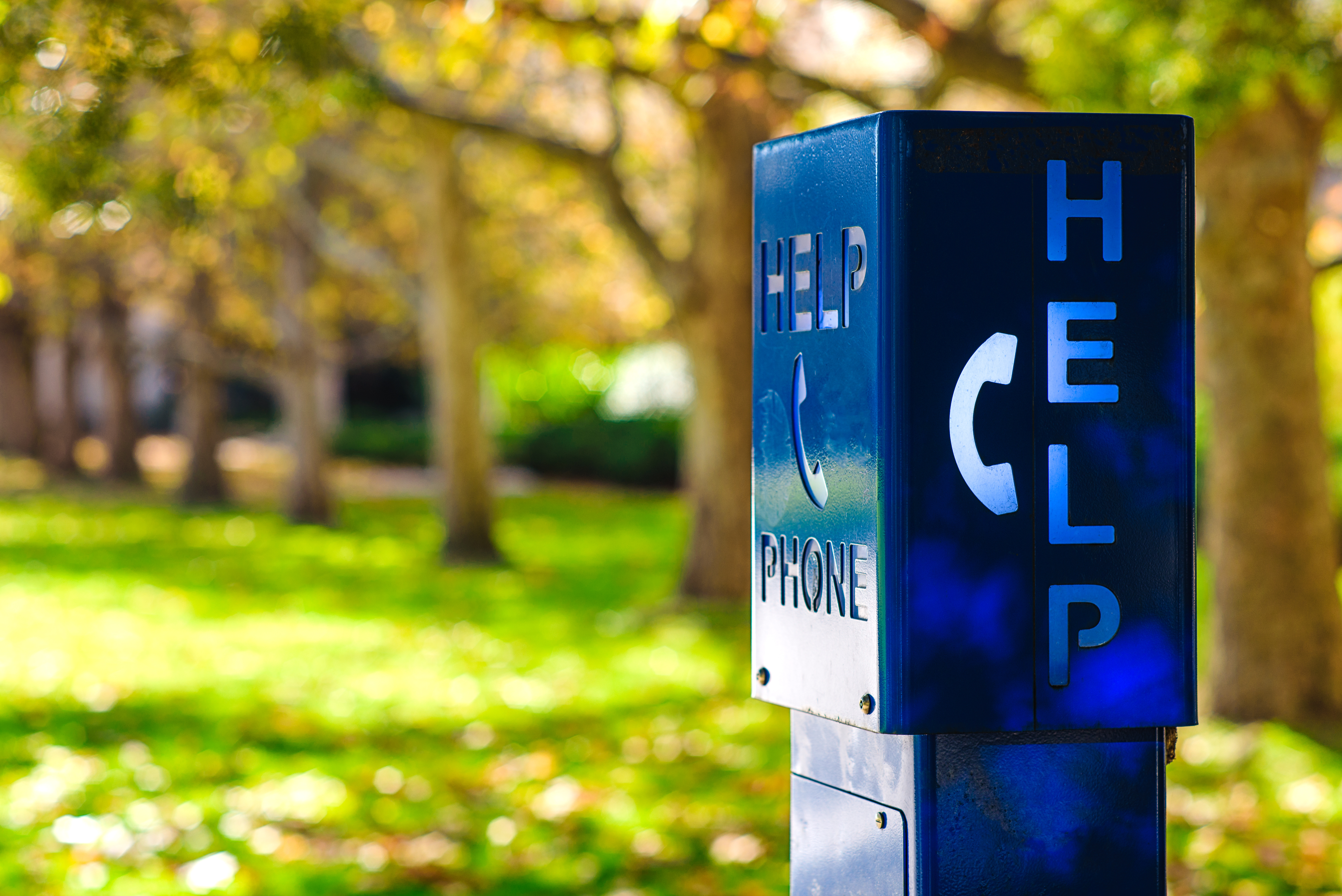 A blue emergency phone box labeled "HELP" at a university campus.