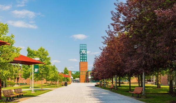Binghamton University.