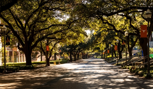 Tree-lined walkway on the University of Texas at Austin Campus in Austin, Texas
