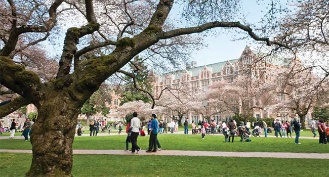 Planning A Connected Campus