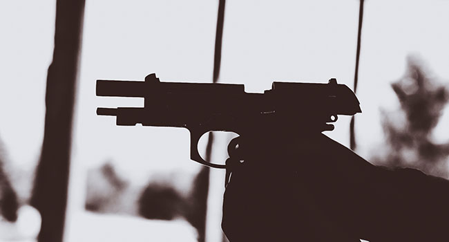 Leveraging Surveillance